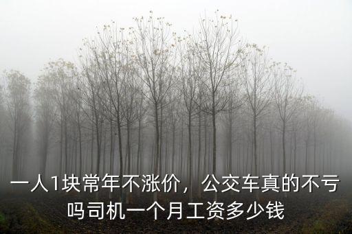 一人1塊常年不漲價(jià)，公交車真的不虧嗎司機(jī)一個(gè)月工資多少錢
