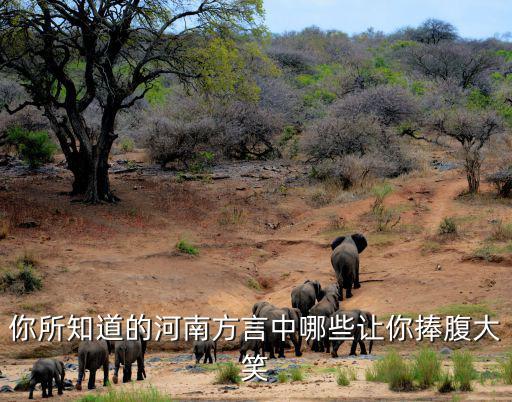 河南方言中很好怎么說,中在河南方言中有哪些意思