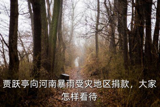 賈躍亭向河南暴雨受災地區捐款，大家怎樣看待