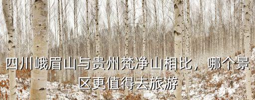 峨眉山和梵凈山哪里好耍,峨眉山和梵凈山哪里好玩些
