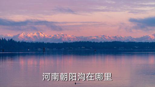 河南朝陽溝在哪里