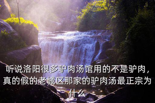 洛陽哪里有正宗驢肉湯培訓 驢肉湯技術教學,洛陽哪家驢肉湯好喝