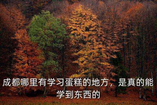 成都哪里有學習蛋糕的地方，是真的能學到東西的