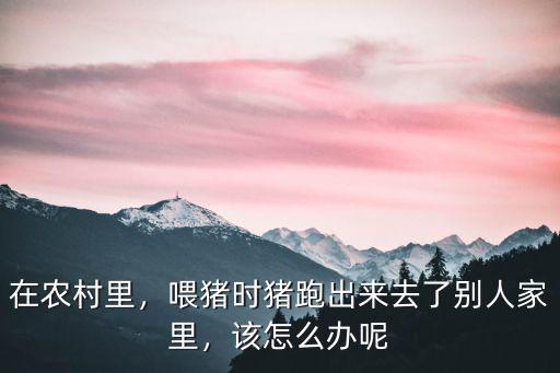 在農(nóng)村里，喂豬時豬跑出來去了別人家里，該怎么辦呢