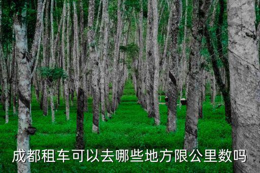 成都租車可以去哪些地方限公里數嗎