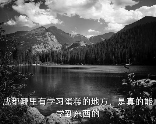 成都哪里有學習蛋糕的地方，是真的能學到東西的