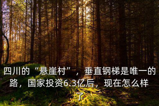 四川的“懸崖村”，垂直鋼梯是唯一的路，國家投資6.3億后，現在怎么樣了