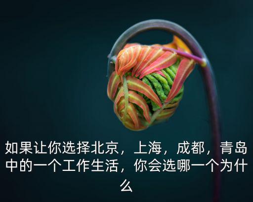 上海和成都哪里工作好一點(diǎn),成都跟上海之間的差距在哪里