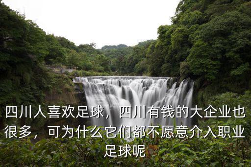 四川人哪里有錢,四川人喜歡足球