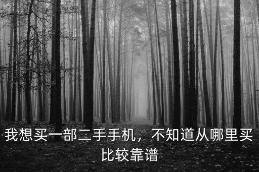我想買一部二手手機，不知道從哪里買比較靠譜