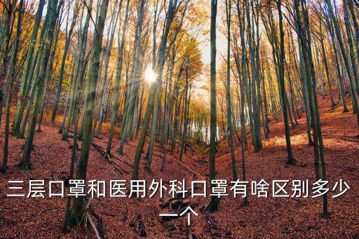 三層口罩和醫用外科口罩有啥區別多少一個