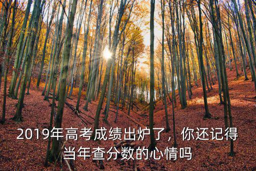 2019年高考成績(jī)出爐了，你還記得當(dāng)年查分?jǐn)?shù)的心情嗎