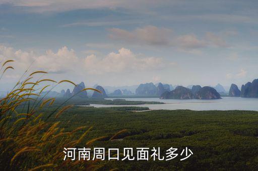 鄭州地區(qū)見面禮給多少,河南周口見面禮多少