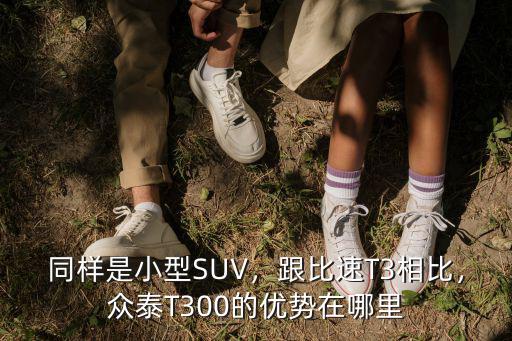 攀枝花眾泰T300在哪里,眾泰T300的優勢在哪里