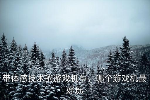 帶體感技術的游戲機中，哪個游戲機最好玩