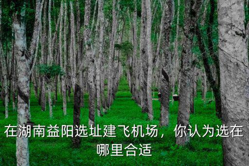達州宣漢飛機場選址在哪里,在湖南益陽選址建飛機場