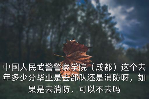中國人民武警警察學(xué)院（成都）這個(gè)去年多少分畢業(yè)是去部隊(duì)還是消防呀，如果是去消防，可以不去嗎