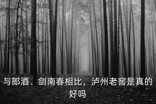 瀘州老窖430市場是哪里,瀘州老窖市場可觀