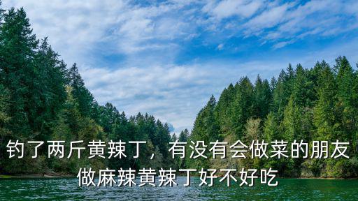 釣了兩斤黃辣丁，有沒有會(huì)做菜的朋友做麻辣黃辣丁好不好吃