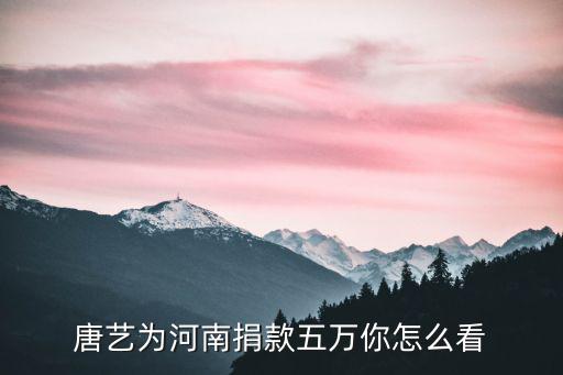 河南雨災(zāi)唐藝捐款多少,唐藝為河南捐款五萬你怎么看