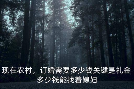 現在農村，訂婚需要多少錢關鍵是禮金多少錢能找著媳婦