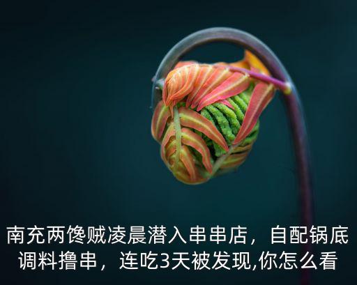 南充哪里有通宵串串,南充兩饞賊凌晨潛入串串店