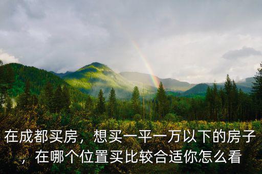 在成都買房，想買一平一萬以下的房子，在哪個位置買比較合適你怎么看