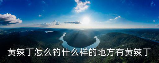 南充哪里的黃辣丁好吃,南充哪家的魚火鍋比較好吃