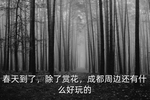 帶老婆成都周邊哪里好玩,成都周邊還有什么好玩的