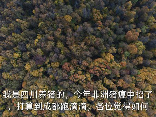 四川豬瘟是在哪里,四川非洲豬瘟爆發