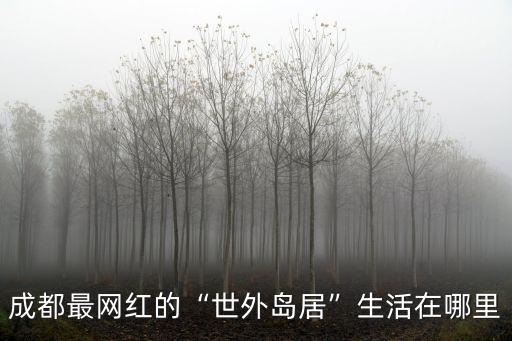 成都網紅饅頭在哪里,成都有哪些網紅餐廳