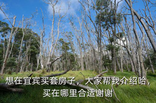 宜賓上江北哪里買房好,想在宜賓買房