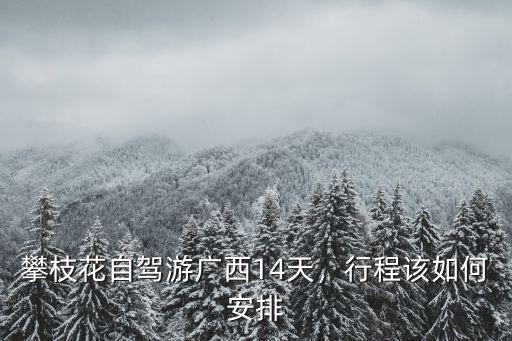 攀枝花自駕游廣西14天，行程該如何安排