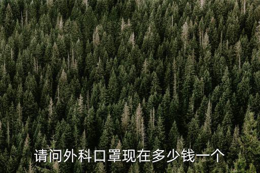 請問外科口罩現在多少錢一個