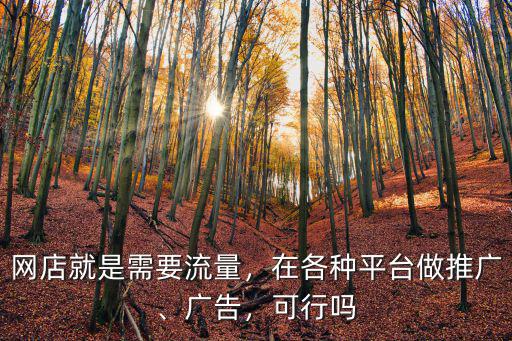 許昌精準(zhǔn)推廣平臺(tái)流量怎么樣,在各種平臺(tái)做推廣