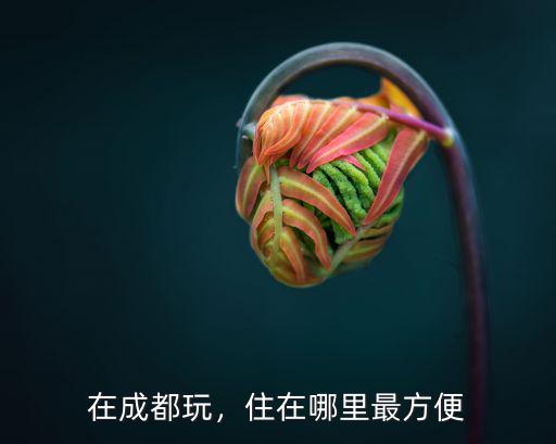 成都玩哪里便宜又方便,去成都玩住哪里便宜