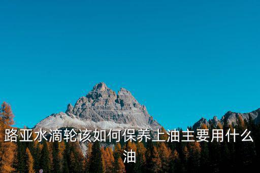 眉山哪里有保養(yǎng)水滴輪的,打黑水滴輪保養(yǎng)