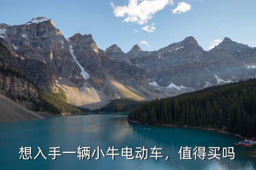 四川中江哪里好買小牛,哪里買小牛實(shí)惠