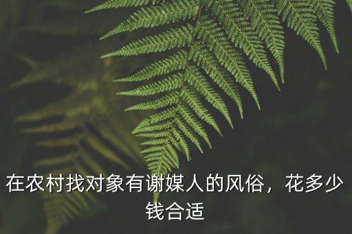 在農村找對象有謝媒人的風俗，花多少錢合適