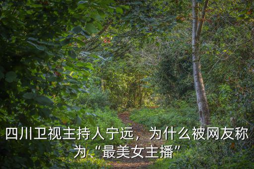 寧遠是四川哪里的,四川衛(wèi)視主持人寧遠