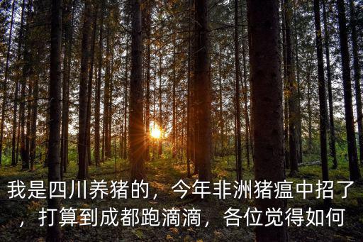 四川非洲豬瘟到哪里了,四川非洲豬瘟爆發(fā)