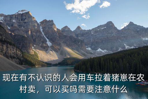 現(xiàn)在有不認識的人會用車拉著豬崽在農(nóng)村賣，可以買嗎需要注意什么