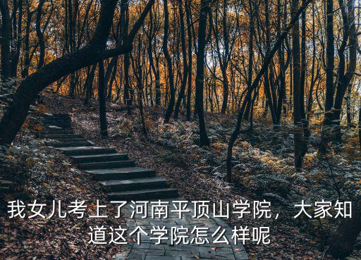 河南科技政法大學怎么樣,河南財經政法大學怎么樣