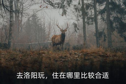 衛??住在洛陽哪里,在洛陽玩住在哪里最方便