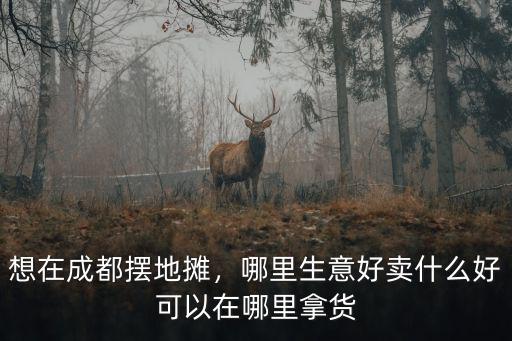 想在成都擺地攤，哪里生意好賣什么好可以在哪里拿貨