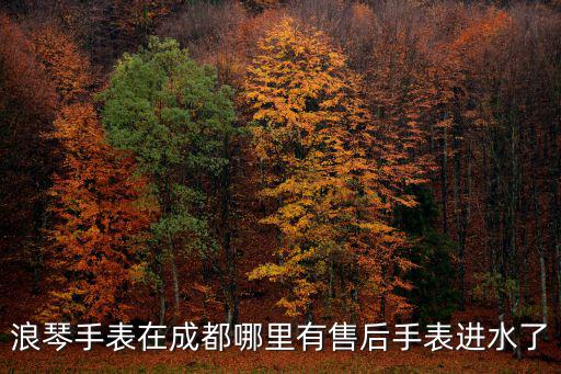 浪琴手表在成都哪里有售后手表進水了