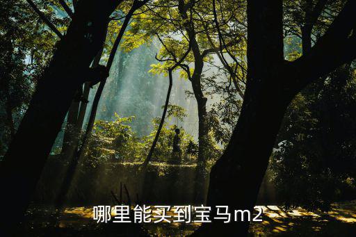 哪里能買到寶馬m2
