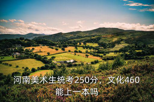 河南美術生統考250分，文化460能上一本嗎