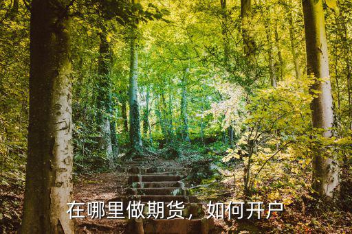 廣元期貨在哪里開戶,在哪里做期貨
