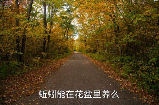蚯蚓能在花盆里養(yǎng)么